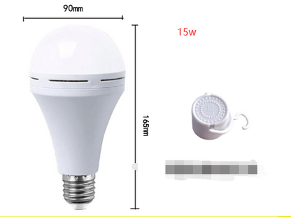 EcoBright™-LED Emergency Light